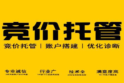 某sem代运营公司助力企业实现品牌升级